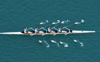 High performance culture and the ideal team player